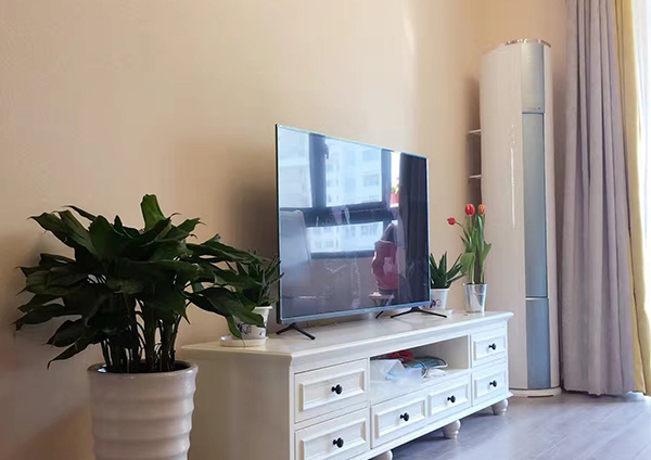 抓住發展契機 硅藻泥行業迎來機會